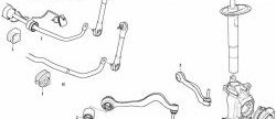 1 149 р. Полиуретановая втулка стабилизатора передней подвески Точка Опоры (I.D. = 24,6 мм) BMW 5 серия E60 седан дорестайлинг (2003-2007)  с доставкой в г. Владивосток. Увеличить фотографию 2