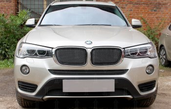 Защитная сетка радиатора в бампер Стрелка 11 Премиум (алюминий, нижняя) BMW X3 F25 рестайлинг (2014-2017)