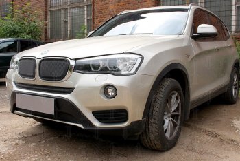 6 649 р. Защитная сетка решетки радиатора Стрелка 11 Премиум (алюминий) BMW X3 F25 рестайлинг (2014-2017) (Цвет: черный)  с доставкой в г. Владивосток. Увеличить фотографию 2