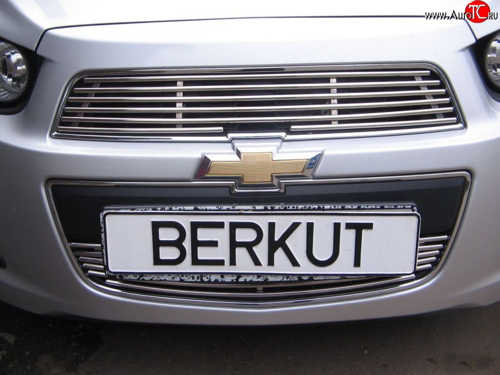 3 999 р. Декоративная вставка воздухозаборника Berkut Chevrolet Aveo T300 седан (2011-2015)  с доставкой в г. Владивосток