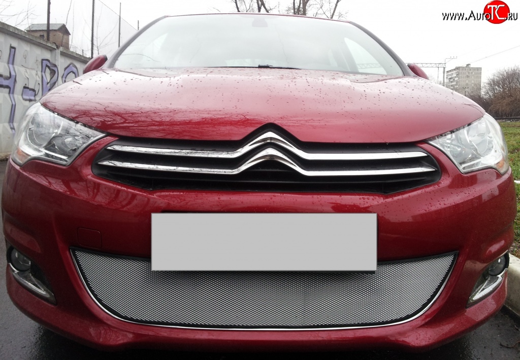 1 539 р. Сетка на бампер (хетчбек) Russtal (хром)  CITROEN C4  B7 (2011-2018) хэтчбэк 5 дв.  с доставкой в г. Владивосток