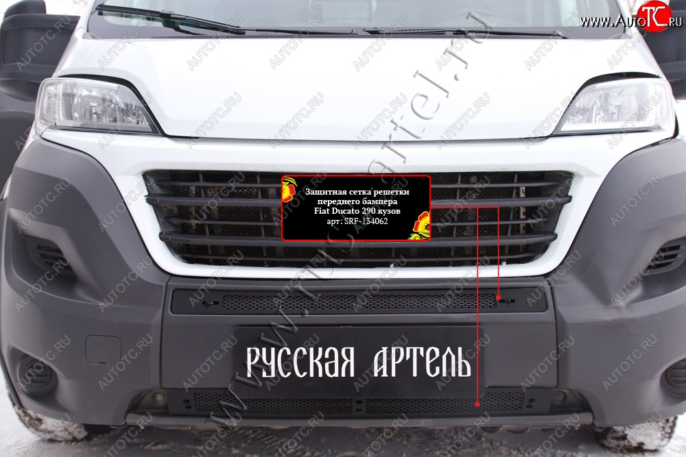 2 249 р. Защитная сетка решетки переднего бампера RA  Fiat Ducato  290 (2014-2024)  с доставкой в г. Владивосток