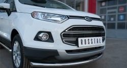 15 649 р. Одинарная защита переднего бампера диаметром 63 мм SLITKOFF  Ford EcoSport (2013-2019) дорестайлинг  с доставкой в г. Владивосток. Увеличить фотографию 3