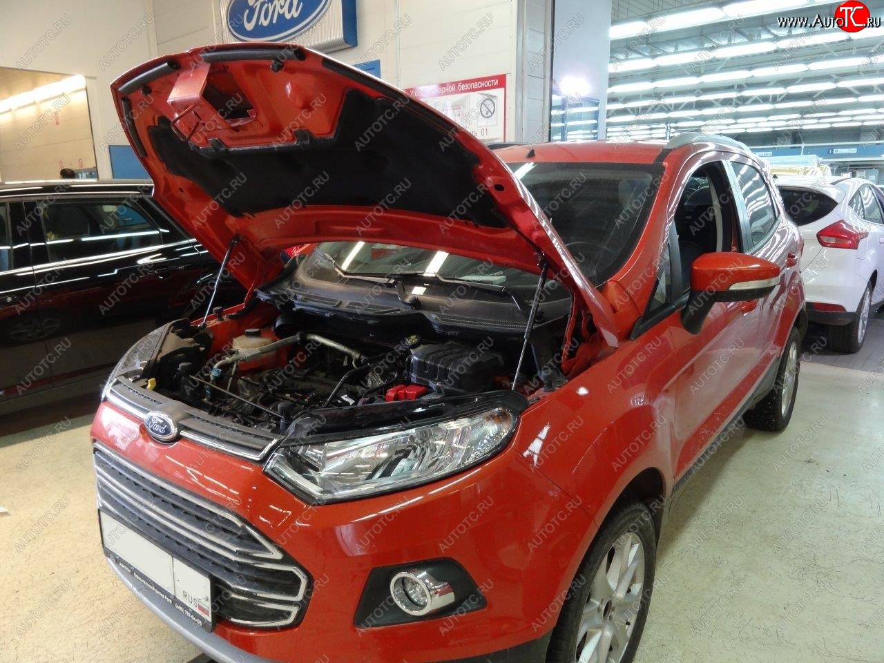 2 299 р. Упоры капота Russtal Ford EcoSport дорестайлинг (2013-2019)  с доставкой в г. Владивосток