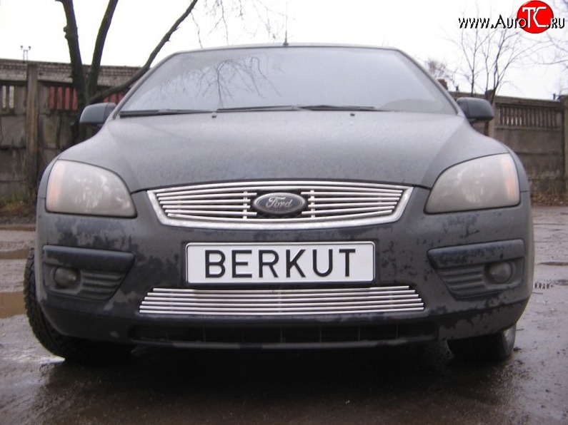 4 999 р. Декоративная вставка решетки радиатора Berkut Ford Focus 2  седан дорестайлинг (2004-2008)  с доставкой в г. Владивосток