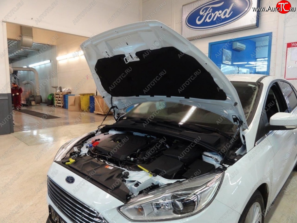 2 199 р. Газовые упоры капота Berkut Ford Focus 3 хэтчбэк дорестайлинг (2010-2015)  с доставкой в г. Владивосток