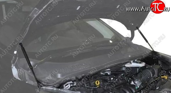 2 199 р. Газовые упоры капота Berkut Ford Kuga 2 рестайлинг (2016-2019)  с доставкой в г. Владивосток