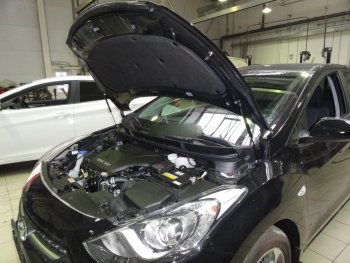 Упоры капота Russtal Hyundai I30 2 GD дорестайлинг, хэтчбэк 5 дв. (2011-2015)