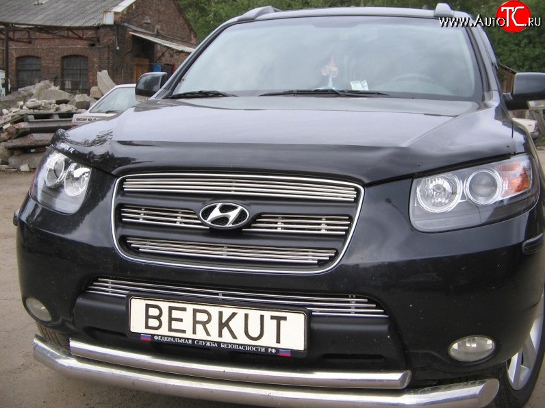 5 999 р. Декоративная вставка решетки радиатора Berkut Hyundai Santa Fe CM дорестайлинг (2006-2009)  с доставкой в г. Владивосток