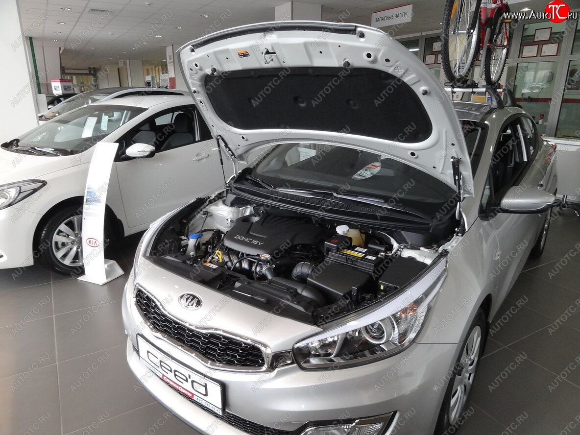 2 049 р. Упоры капота Russtal KIA Ceed 2 JD рестайлинг, хэтчбэк (2015-2018)  с доставкой в г. Владивосток