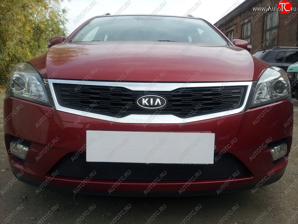 1 469 р. Защитная сетка на бампер Russtal (черная)  KIA Ceed  1 ED (2010-2012) рестайлинг универсал, рестайлинг, хэтчбэк 5 дв.  с доставкой в г. Владивосток