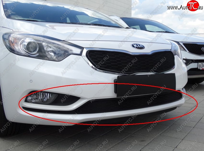 1 469 р. Нижняя защитная сетка на бампер Russtal (черная)  KIA Cerato  3 YD (2013-2016) дорестайлинг седан  с доставкой в г. Владивосток