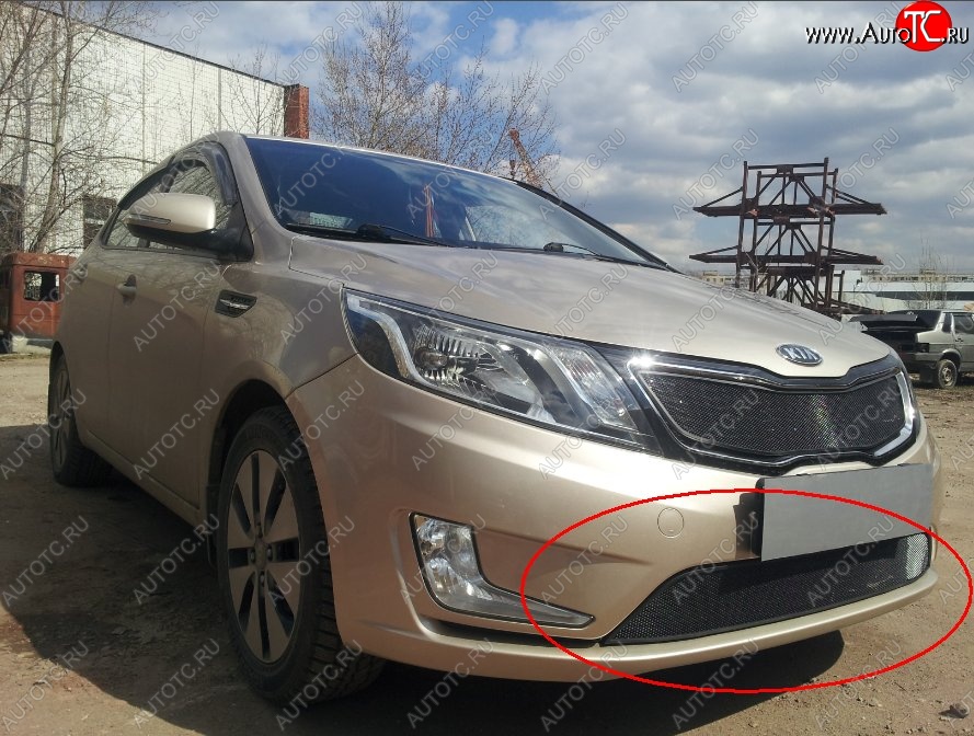 2 199 р. Нижняя защитная сетка на бампер Russtal (черная) KIA Rio 3 QB дорестайлингхэтчбек5дв. (2011-2015)  с доставкой в г. Владивосток