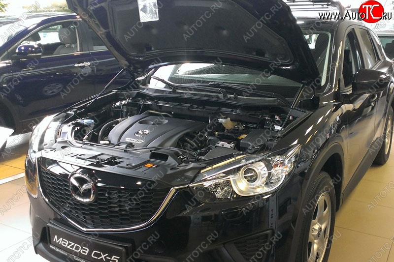 2 199 р. Газовые упоры капота Berkut Mazda CX-5 KE рестайлинг (2015-2017)  с доставкой в г. Владивосток