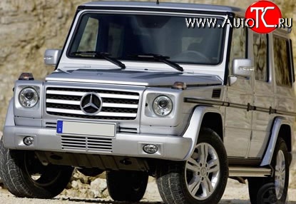 19 199 р. Решётка радиатора AMG Mercedes-Benz G class W463 5 дв. дорестайлинг (1989-1994) (Неокрашенная)  с доставкой в г. Владивосток