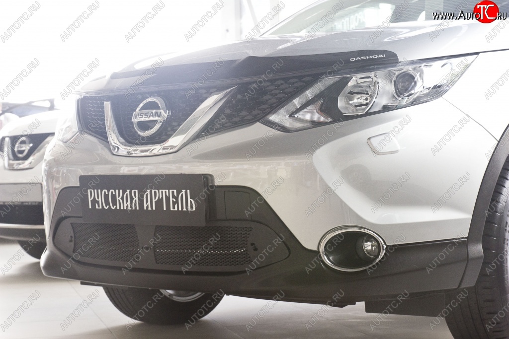 2 099 р. Защитная сетка решетки переднего бампера РА  Nissan Qashqai  2 (2017-2022) J11 рестайлинг  с доставкой в г. Владивосток