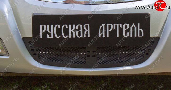 1 539 р. Защитная сетка решетки переднего бампера РА  Nissan Almera Classic  седан (2006-2013) B10  с доставкой в г. Владивосток