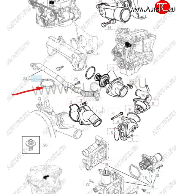 133 р. Уплотнительное кольцо маслопровода GM (дв. Z16XEP, к корпусу масляного фильтра) Opel Astra H хэтчбек 5дв дорестайлинг (2004-2007)  с доставкой в г. Владивосток