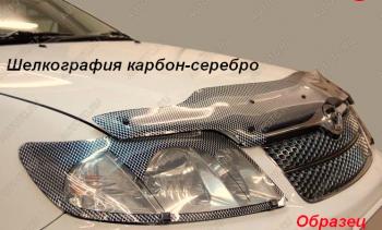 Защита фар CA-Plastic Ford (Форд) Focus (Фокус)  2 (2007-2011) 2 универсал рестайлинг