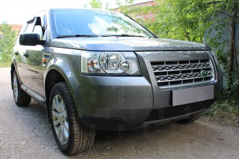 3 199 р. Защитная сетка в бампер (низ, ячейка 3х7 мм) Alfeco Стандарт  Land Rover Freelander  L359 (2006-2010) дорестайлинг (Чёрная)  с доставкой в г. Владивосток. Увеличить фотографию 2