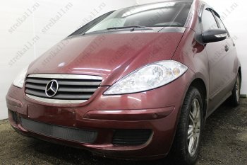 3 099 р. Защитная сетка в бампер (низ, ячейка 3х7 мм) Alfeco Стандарт  Mercedes-Benz A class  W169 (2005-2008) дорестайлинг, хэтчбэк 5 дв. (Чёрная)  с доставкой в г. Владивосток. Увеличить фотографию 2