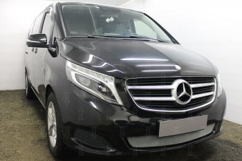 3 199 р. Защитная сетка в бампер (низ, ячейка 3х7 мм) Alfeco Стандарт  Mercedes-Benz Vito  W447 (2015-2020) дорестайлинг (Хром)  с доставкой в г. Владивосток. Увеличить фотографию 2