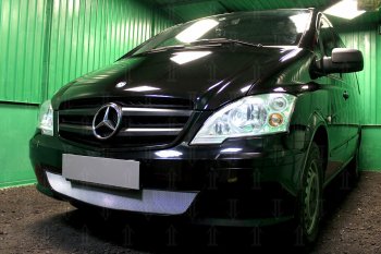 3 099 р. Защитная сетка в бампер (низ, ячейка 3х7 мм) Alfeco Стандарт Mercedes-Benz Vito W639 рестайлинг (2010-2014) (Хром)  с доставкой в г. Владивосток. Увеличить фотографию 3