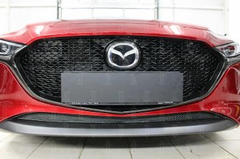 Защитная сетка в бампер (низ, ячейка 4х10 мм) Alfeco Премиум Mazda 3/Axela BP хэтчбэк (2019-2025) ()