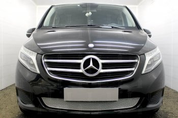 Защитная сетка в бампер (низ, ячейка 4х10 мм) Alfeco Премиум Mercedes-Benz Vito W447 дорестайлинг (2015-2020)  (Хром)