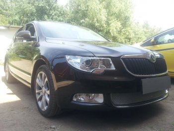 4 299 р. Защитная сетка в бампер (низ, ячейка 4х10 мм) Стрелка11 Премиум Skoda Superb B6 (3T) лифтбэк дорестайлинг (2008-2013) (Хром)  с доставкой в г. Владивосток. Увеличить фотографию 2