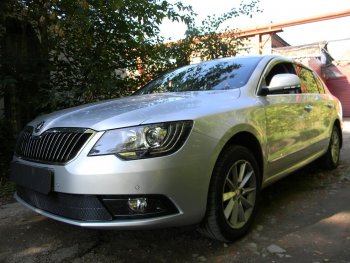 Защитная сетка в бампер (низ, ячейка 4х10 мм) Стрелка11 Премиум Skoda Superb (B6) 3T лифтбэк рестайлинг (2013-2015)  (Чёрная)