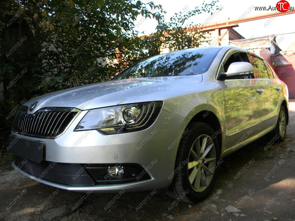 4 599 р. Защитная сетка в бампер (низ, ячейка 4х10 мм) Стрелка11 Премиум Skoda Superb (B6) 3T лифтбэк рестайлинг (2013-2015) (Чёрная)  с доставкой в г. Владивосток