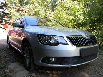 4 599 р. Защитная сетка в бампер (низ, ячейка 4х10 мм) Стрелка11 Премиум Skoda Superb (B6) 3T лифтбэк рестайлинг (2013-2015) (Чёрная)  с доставкой в г. Владивосток. Увеличить фотографию 3