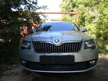 4 599 р. Защитная сетка в бампер (низ, ячейка 4х10 мм) Стрелка11 Премиум Skoda Superb (B6) 3T лифтбэк рестайлинг (2013-2015) (Чёрная)  с доставкой в г. Владивосток. Увеличить фотографию 2