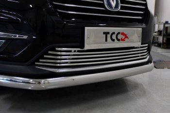 8 349 р. Декоративная вставка переднего бампера ТСС Тюнинг  Changan CS75 (2018-2022) 1-ый рестайлинг (d 16 мм)  с доставкой в г. Владивосток. Увеличить фотографию 1