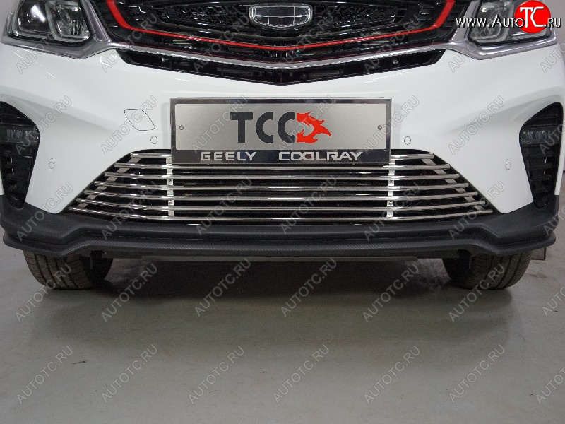 12 749 р. Декоративная вставка в бампер ТСС Тюнинг  Geely Coolray  SX11 (2018-2025) дорестайлинг, рестайлинг (d 12 мм)  с доставкой в г. Владивосток