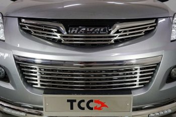 6 099 р. Нижняя декоративная вставка в бампер ТСС Тюнинг  Haval H5 (2020-2023) рестайлинг (d 12 мм)  с доставкой в г. Владивосток. Увеличить фотографию 1