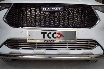 7 699 р. Нижняя декоративная вставка в бампер ТСС Тюнинг  Haval F7 (2018-2022)  дорестайлинг (d 12 мм)  с доставкой в г. Владивосток. Увеличить фотографию 1