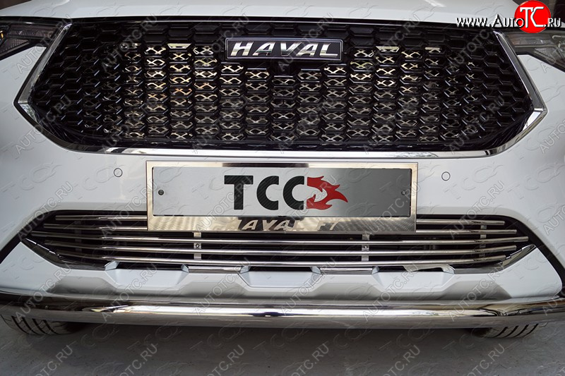 7 699 р. Нижняя декоративная вставка в бампер ТСС Тюнинг  Haval F7 (2018-2022)  дорестайлинг (d 12 мм)  с доставкой в г. Владивосток