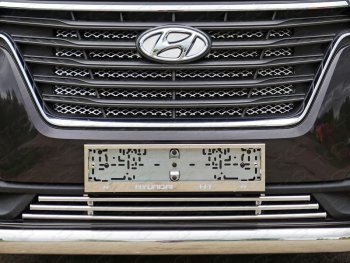 7 699 р. Декоративная вставка решетки радиатора ТСС Тюнинг  Hyundai Starex/Grand Starex/H1  TQ (2017-2022) 2-ой рестайлинг (d 16 мм)  с доставкой в г. Владивосток. Увеличить фотографию 1