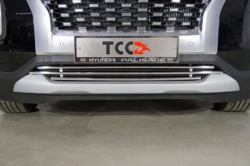 7 699 р. Нижняя декоративная вставка в бампер ТСС Тюнинг  Hyundai Palisade  LX2 (2018-2022) (d 16 мм )  с доставкой в г. Владивосток. Увеличить фотографию 1