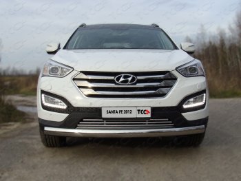 7 699 р. Декоративная вставка решетки радиатора ТСС Тюнинг  Hyundai Santa Fe  DM (2012-2019) дорестайлинг, рестайлинг (d 16 мм)  с доставкой в г. Владивосток. Увеличить фотографию 1