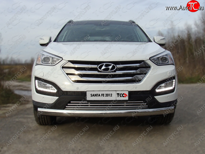 7 699 р. Декоративная вставка решетки радиатора ТСС Тюнинг  Hyundai Santa Fe  DM (2012-2019) дорестайлинг, рестайлинг (d 16 мм)  с доставкой в г. Владивосток