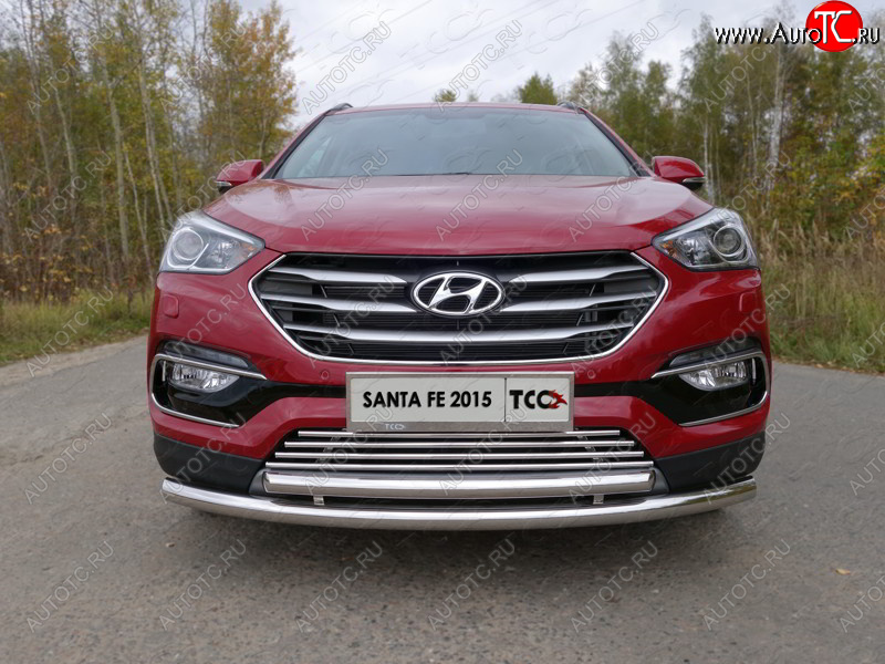 9 349 р. Декоративная вставка переднего бампера (Premium) ТСС Тюнинг  Hyundai Santa Fe  DM (2015-2019) рестайлинг (d 16 мм)  с доставкой в г. Владивосток