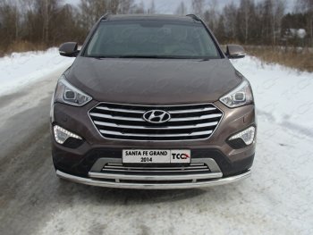 7 699 р. Декоративная вставка решетки радиатора ТСС Тюнинг  Hyundai Grand Santa Fe  1 DM (2013-2018) дорестайлинг, рестайлинг (d 16 мм)  с доставкой в г. Владивосток. Увеличить фотографию 1