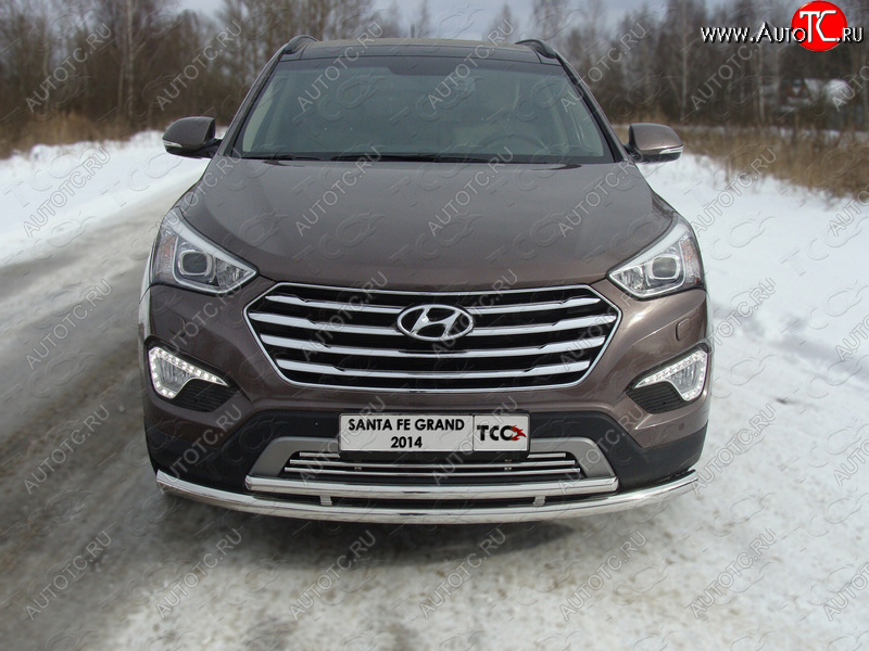 7 699 р. Декоративная вставка решетки радиатора ТСС Тюнинг  Hyundai Grand Santa Fe  1 DM (2013-2018) дорестайлинг, рестайлинг (d 16 мм)  с доставкой в г. Владивосток