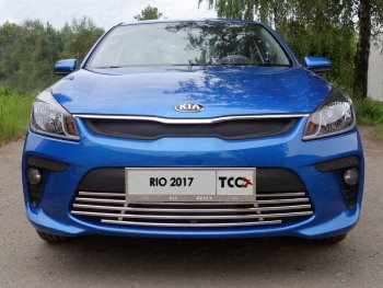 7 699 р. Нижняя декоративная вставка в бампер ТСС Тюнинг  KIA Rio  4 YB (2017-2020) дорестайлинг, хэтчбэк (d 16 мм)  с доставкой в г. Владивосток. Увеличить фотографию 1