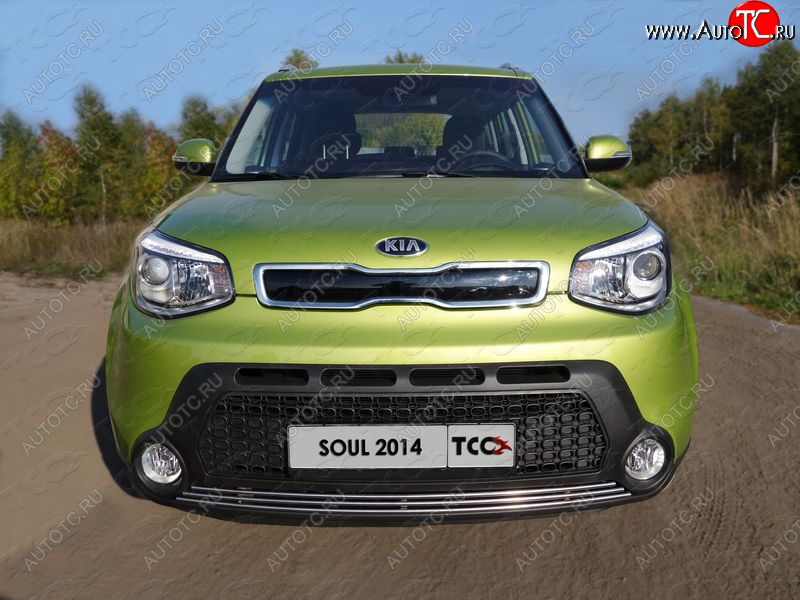 2 339 р. Нижняя декоративная вставка в бампер ТСС Тюнинг  KIA Soul  PS (2014-2016) дорестайлинг (d 12 мм)  с доставкой в г. Владивосток