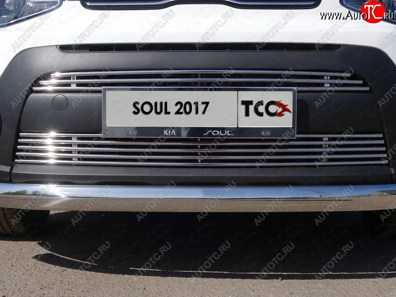 3 099 р. Декоративная вставка переднего бампера ТСС Тюнинг  KIA Soul  PS (2017-2019) рестайлинг (d 12 мм)  с доставкой в г. Владивосток