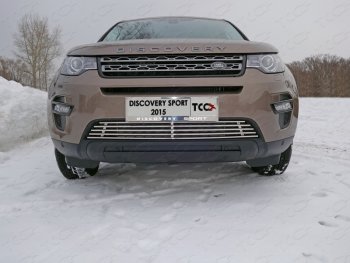 9 349 р. Декоративная вставка решетки радиатора ТСС Тюнинг  Land Rover Discovery Sport  L550 (2014-2019) дорестайлинг (d 12 мм)  с доставкой в г. Владивосток. Увеличить фотографию 1